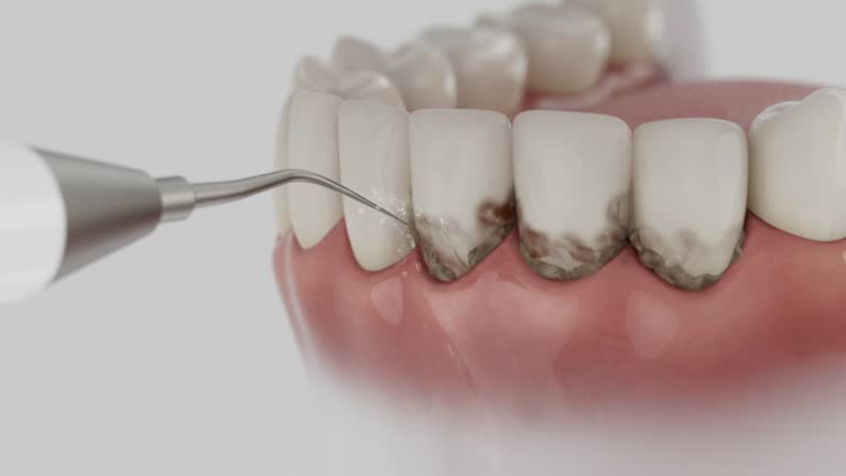 Reliable Dental contractor in Mendon, IL by Dentist Open Now